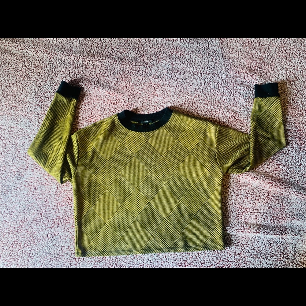 F21 Crop top Sweater